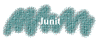 Junit