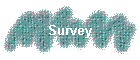 Survey